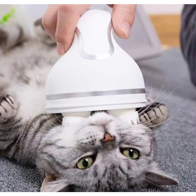Cat Smart Automatic Silicone R - đánh giá và giá Hair Scalp Massager